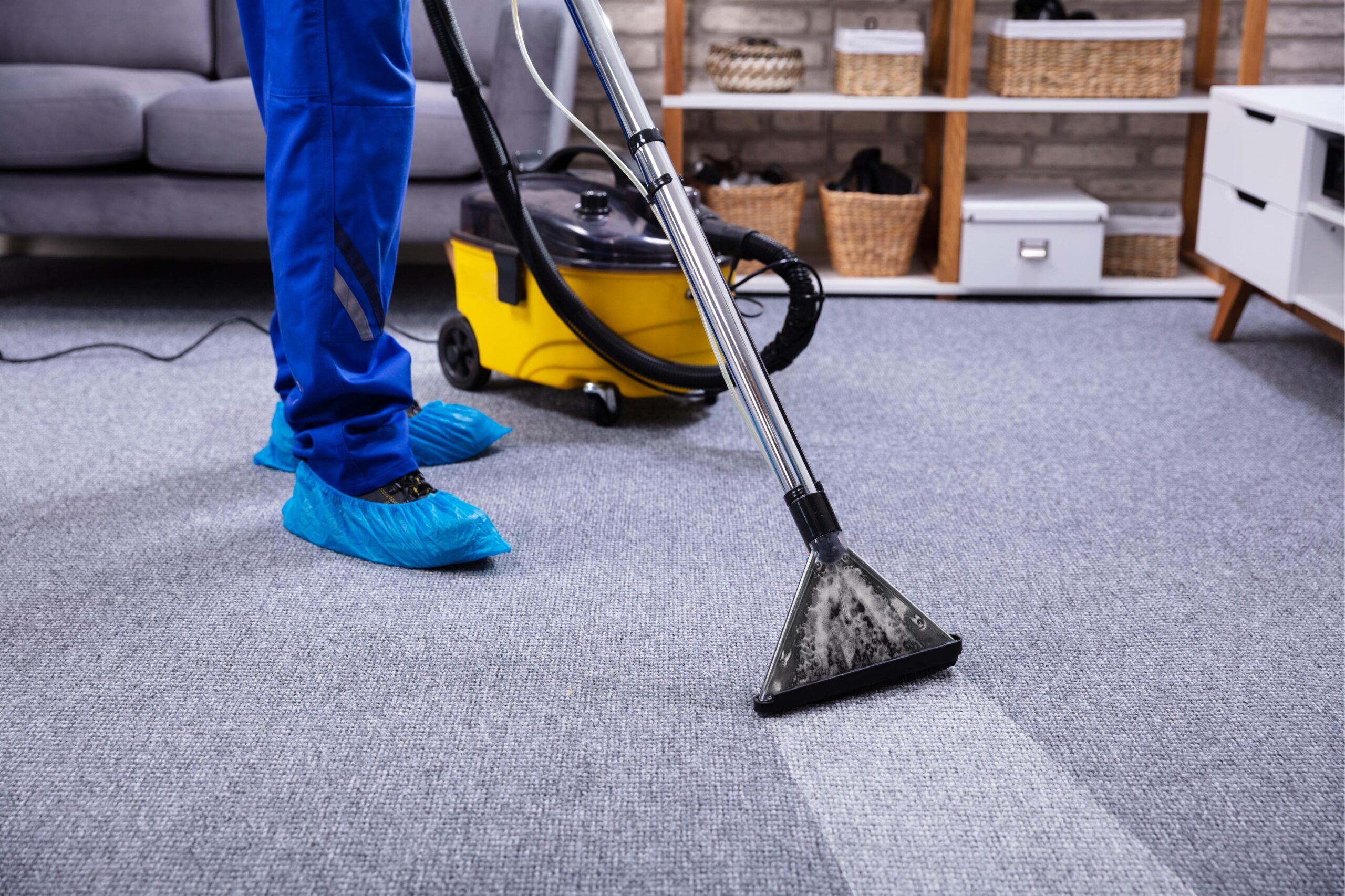 Cleaning the Carpet